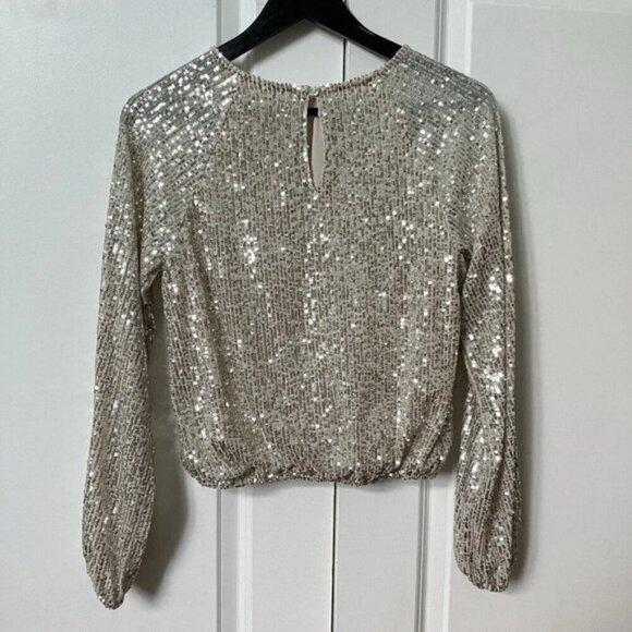 Haver Blair Silver Sequin Sparkling Long Sleeve Top Holiday Party XS - Picture 3 of 4